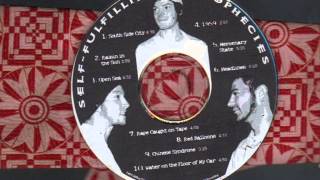 Self Fulfilling Prophecies  2005  South Side City