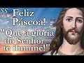 Linda Mensagem De Feliz Páscoa! Que O Senhor Te Ilumine! WhatsApp/Facebook