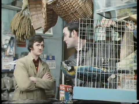 Monty Python: The Parrot Sketch & The Lumberjack Song movie versions HQ