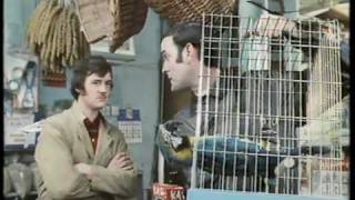 Monty Python: The Parrot Sketch & The Lumberjack Song movie versions HQ