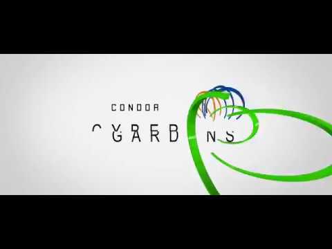 3D Tour Of Condor Cyber Gardens Carnations