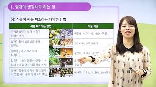 [동아출판] 백점 시리즈 초등 6학년 백점 과학 - 4. 식물의 구조와 기능 _열매의 생김새와 하는 일 / 식물 연극 공연하기