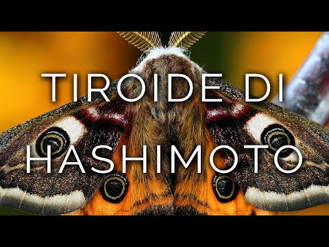 1431-IT Brunella, TIROIDE DI HASHIMOTO - Ipnosi Esoterica ∞ Lucio Carsi