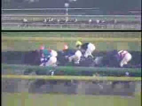 2001 Japan Cup Dirt ジャパンカップダート 日本盃泥地大賽