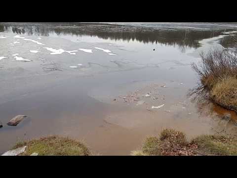 Hylses Blekingeturne - KARLSNÄS - Möljeryd - Ronneby - halvön Ronnebyån - 181130 - Samsung S8