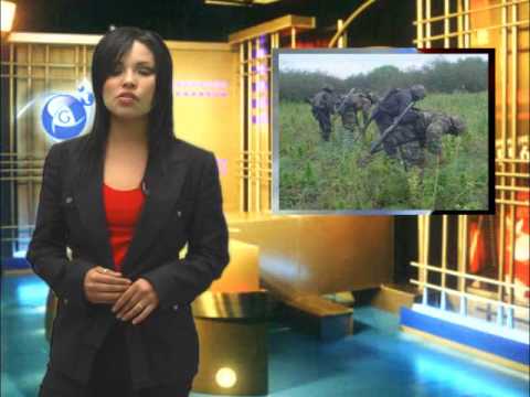 Resumen sabatino 9 de Enero 2010.wmv