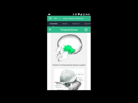 Human Skeleton Reference Guide Video