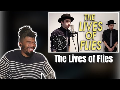 (DTN Reacts) The Lives of Flies - Rusty Cage
