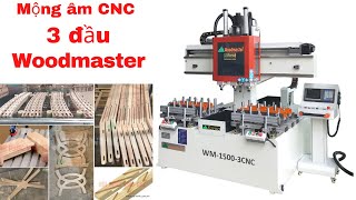 Máy mộng âm ba đầu khi được sử dụng máy một cách sáng tạo, thành quả sẽ rất bất ngờ | WM-1500-3CNC