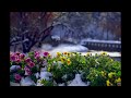 David Lanz - First Snow