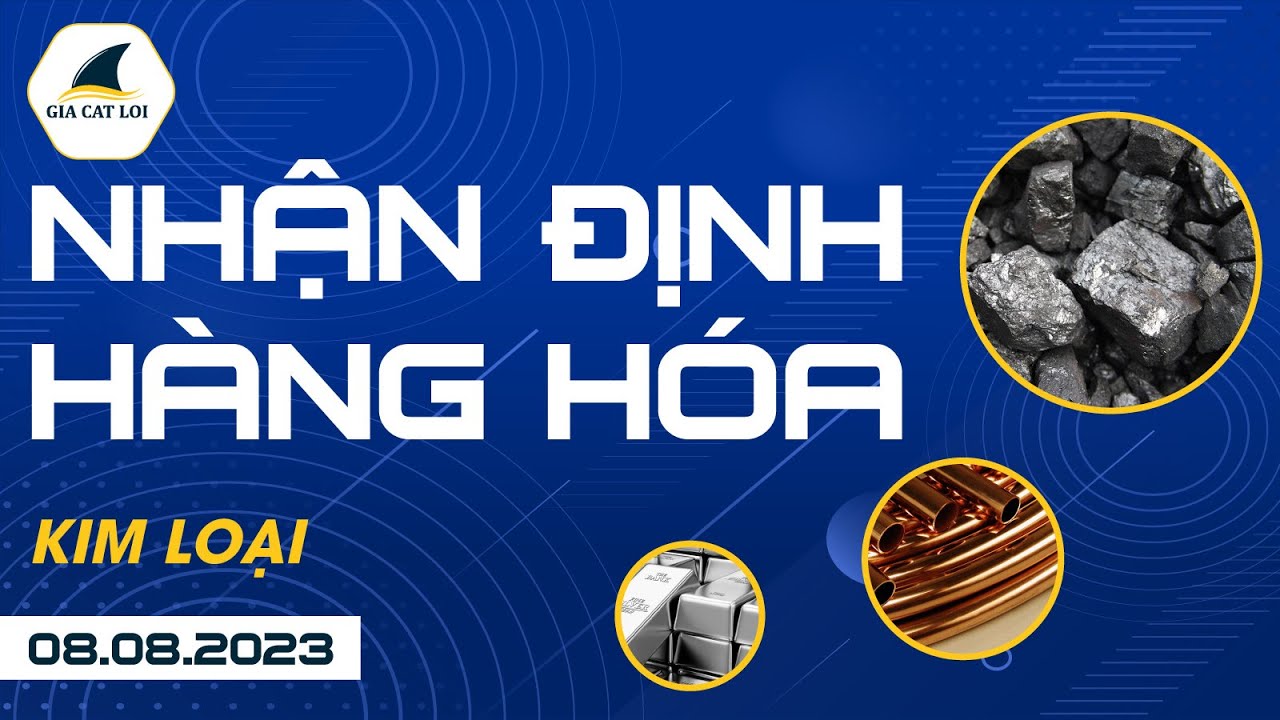Nhận Định Hàng Hoá Kim Loại Ngày 08/08/2023