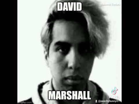 Mandela Catalogue characters real names 😳