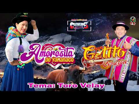 TORIL CON AMOROSITA DE YANANACO Y GATITO CORAZON⏩TEMA: TORO VELAY⏪VIDEO TORIL 2024( VOZ Y CANTO)