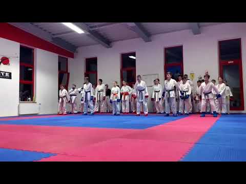 Karate Training im Dojo Chikara Club Erfurt