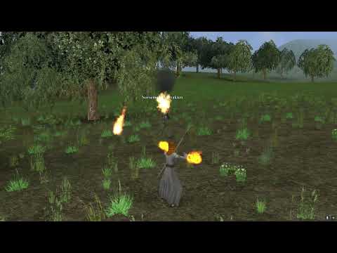 Dark Age of Camelot - Eden Wizzard RVR (Alpha Low Level )