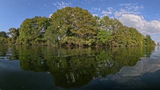 Paddle Board Trash Pickup, Town Lake, Austin TX, October 16, 2025 - GoPro MAX2