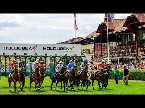 ŽIVĚ 🔴 | dostihy Karlovy Vary – 6. 8. 2023