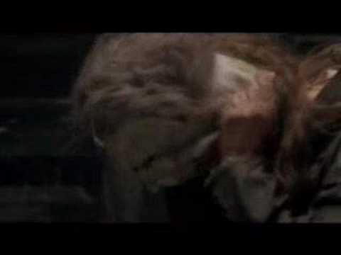 Trailer-Vorschau: Halloween