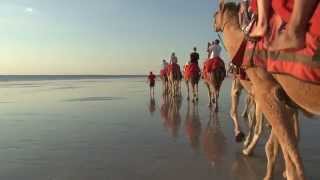 Broome, Australia -  Riding Camels at Cable Beach Sunset