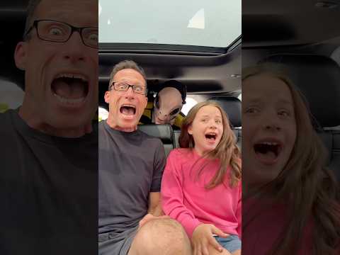 When There Is A Bee In The Car