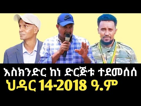 "እስክንድር አደፋጭ ፖለቲከኛ ሆኗል"ፋኖዎች | Amhara Fano  | Eskindr Nega | Zemene Kassie