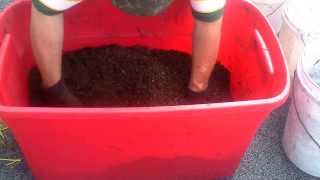 FAMILY FARMER  NIGHTCRAWLERS INDOOS OR OUTDOORS