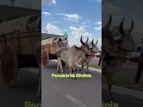 Dia de festa em Silvânia Go