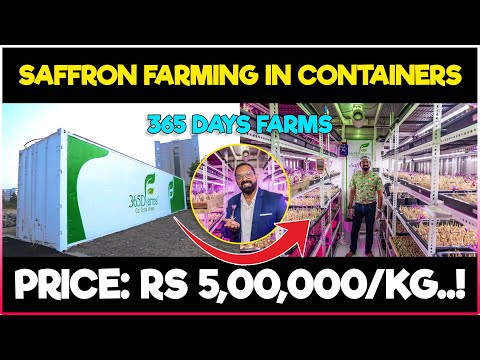 Saffron Farming in Shipping Containers | Grow saffron indoor anywhere without soil and Water..!