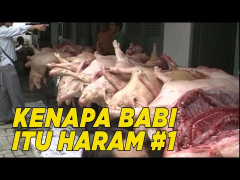 , title : 'Meski sudah dilarang, apakah masih ada Muslim yang mengkonsumsi daging babi? | HALAL'