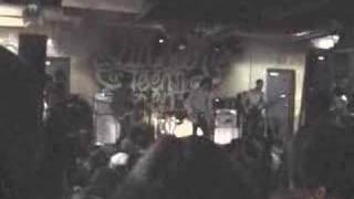 Minus the Bear: &quot;Pony Up!&quot;