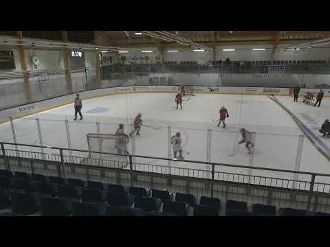 PiPS - SaPKo valkoinen 1