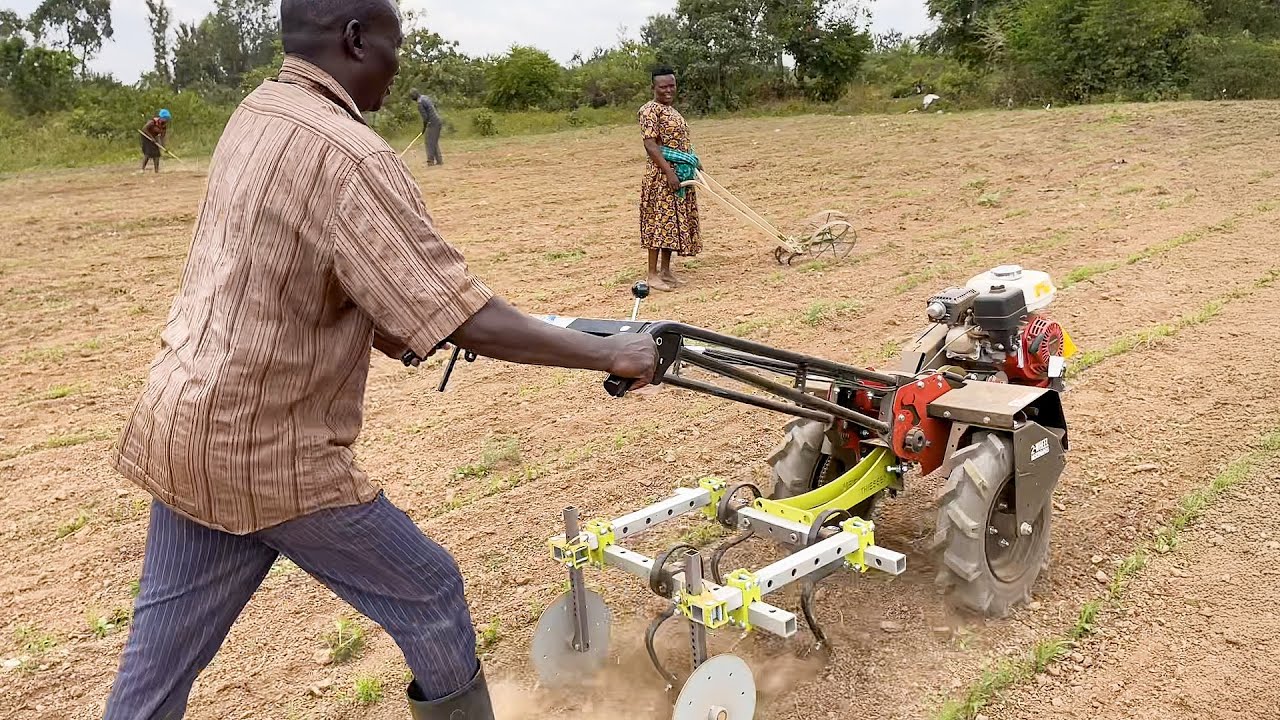 Step Up from Hand Weeding: Easy Weed Control with a Walk-Behind Tractor