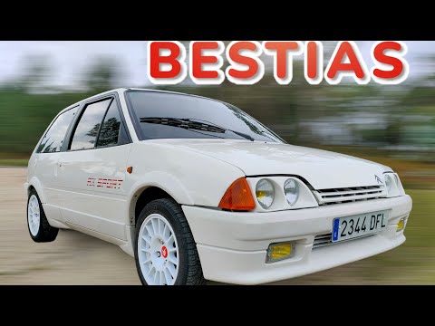 Citröen AX GT vs AX Sport: RALLY CAR