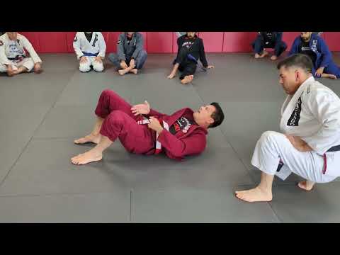 The Half Guard Masterclass