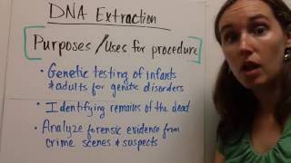 Strawberry DNA Extraction Lab Explanation