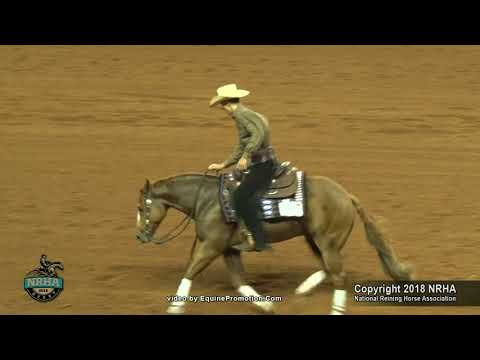 Baileys Not Painted ridden by Ronny Lane Colston  - 2018 NRHA Derby (NP Finals, Sec. 2)
