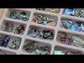 1136 Gorgeous Resin Domino S Using Abalone Paua Shells