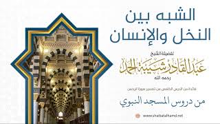 89 الشبه بين النخل والإنسان - الشيخ عبدالقادر شيبة الحمد رحمه الله image
