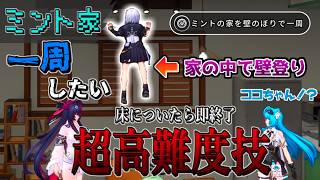 【NTE】ミントの家を『壁のぼり』で一周する不審者プレイヤーがこちらですwww【検証】 【ネバエバ】
