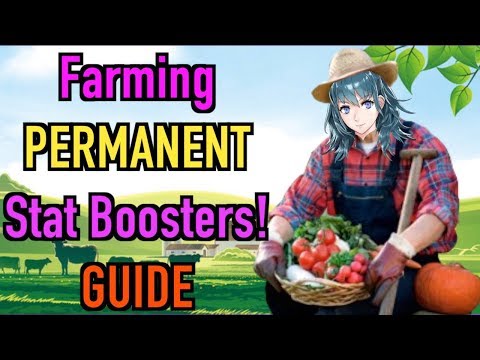 Farmable PERMANENT Stat Boosters?! Fire Emblem Three Houses Farming Guide
