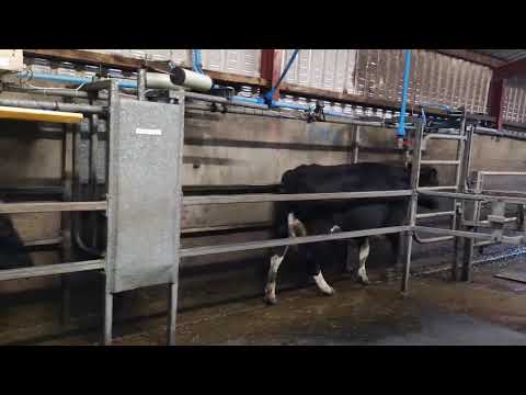 Alfco Drafting Gate - Image 2