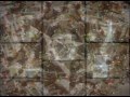 Enon - Pigeneration (Unofficial Music Video)