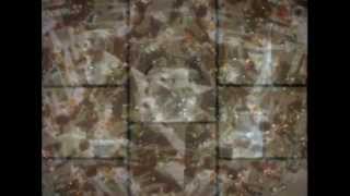 Enon - Pigeneration (Unofficial Music Video)