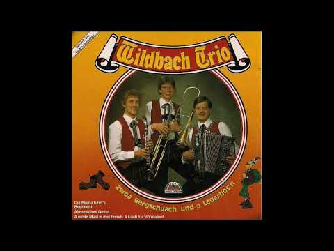 10.Wildbach Trio - A Liadl für d' Votaleut