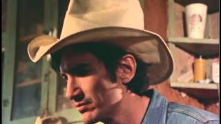 Townes Van Zandt - &quot;Pancho &amp; Lefty&quot; from Heartworn Highways