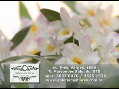 Programa Neusa Bighetti exibido no dia 10/03/2013 - Galeria das Flores