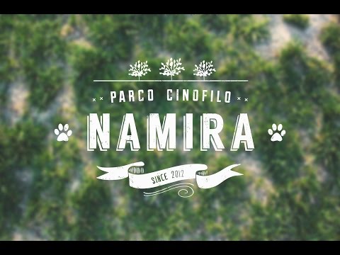 Vita da " Cani " - Parco Cinofilo Namira