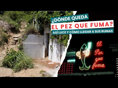 Where is The Smoking Fish? This is what it looks like and how to get to its ruins.