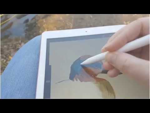 Thumbnail of Digital painting birds outside