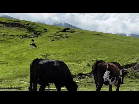 Quebrada del Portugués- Tafi del Valle- El mollar Tucuman⛰️
